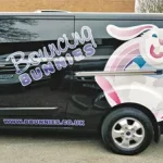 bunnies bournemouth van graphics